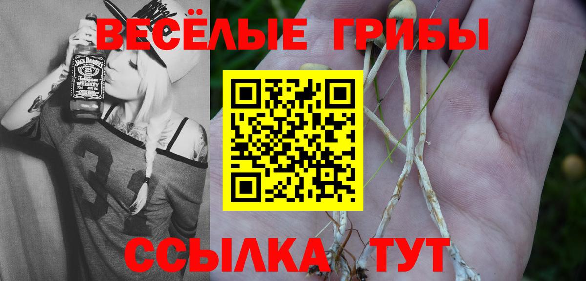 Галлюциногенные грибы Magic Shrooms  Вход с VPN  Галлюциногенные грибы GOLDEN TEACHER  Луховицы 