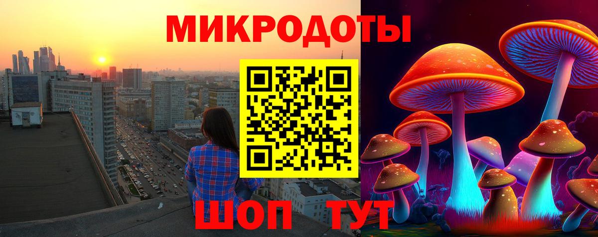 Псилоцибиновые грибы Psilocybe Луховицы